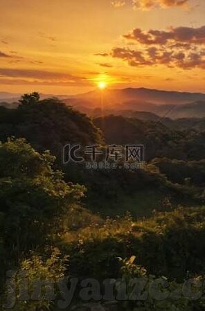 免费观看成人午深夜视频在线-探索成人内容观看的边界与风险，理性视角下的网络行为
